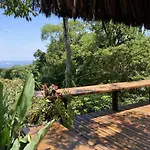 Paradise In Rio